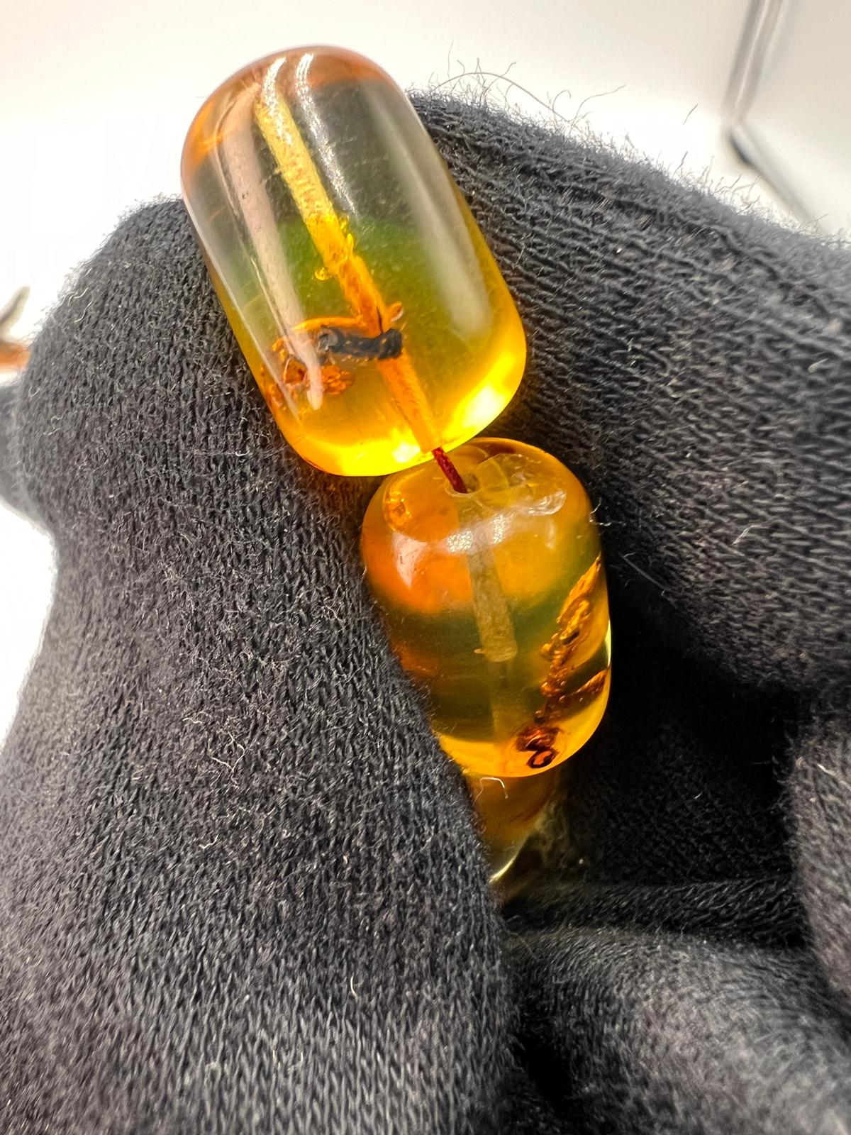 Colombian insect Amber