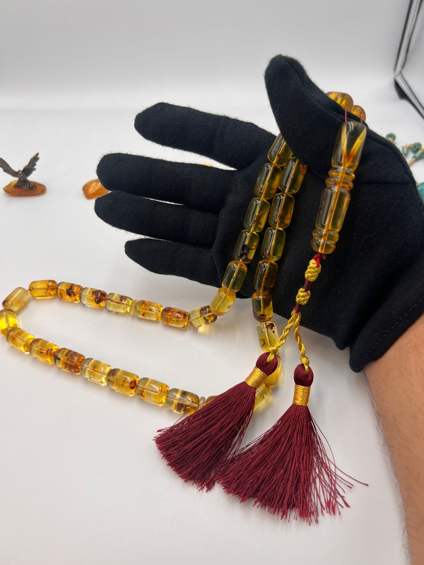 Colombian insect Amber