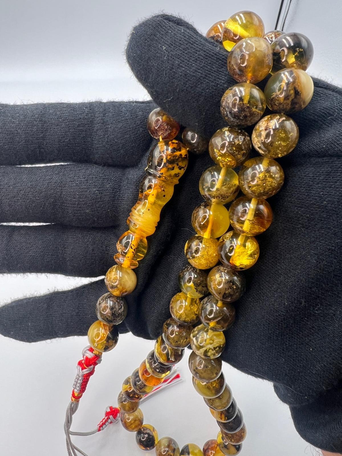 Baltic inclusion Amber
