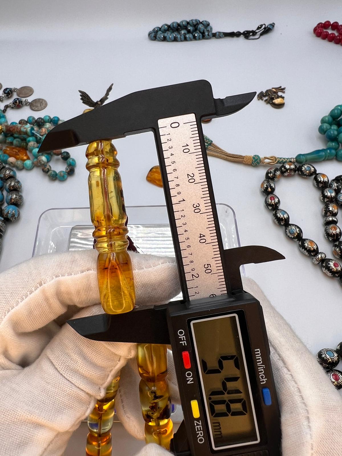 Colombian insect Amber