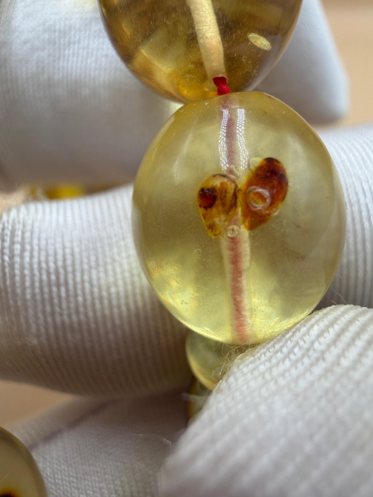 مسباح كهرمان حشري كاريبي، بخراطة مميزة، قصة بيض حمام.Caribbean Insect Amber Misbah