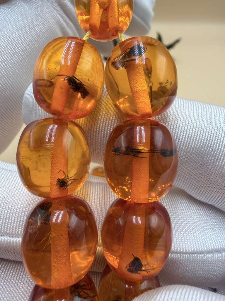 مسباح سندلوس داخله حشرات. Sandalwood Misbaha with natural insects inside.