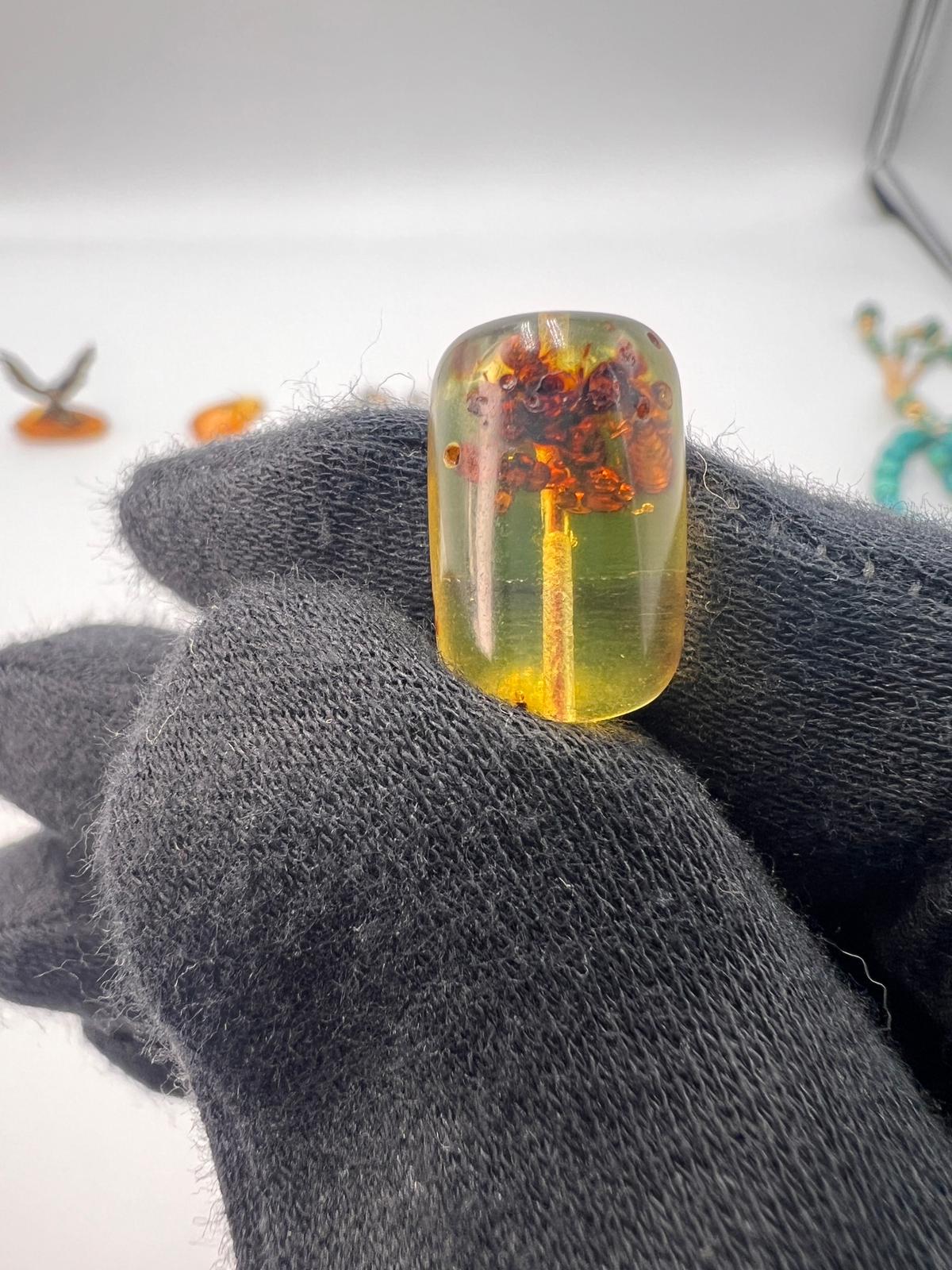 Colombian insect Amber