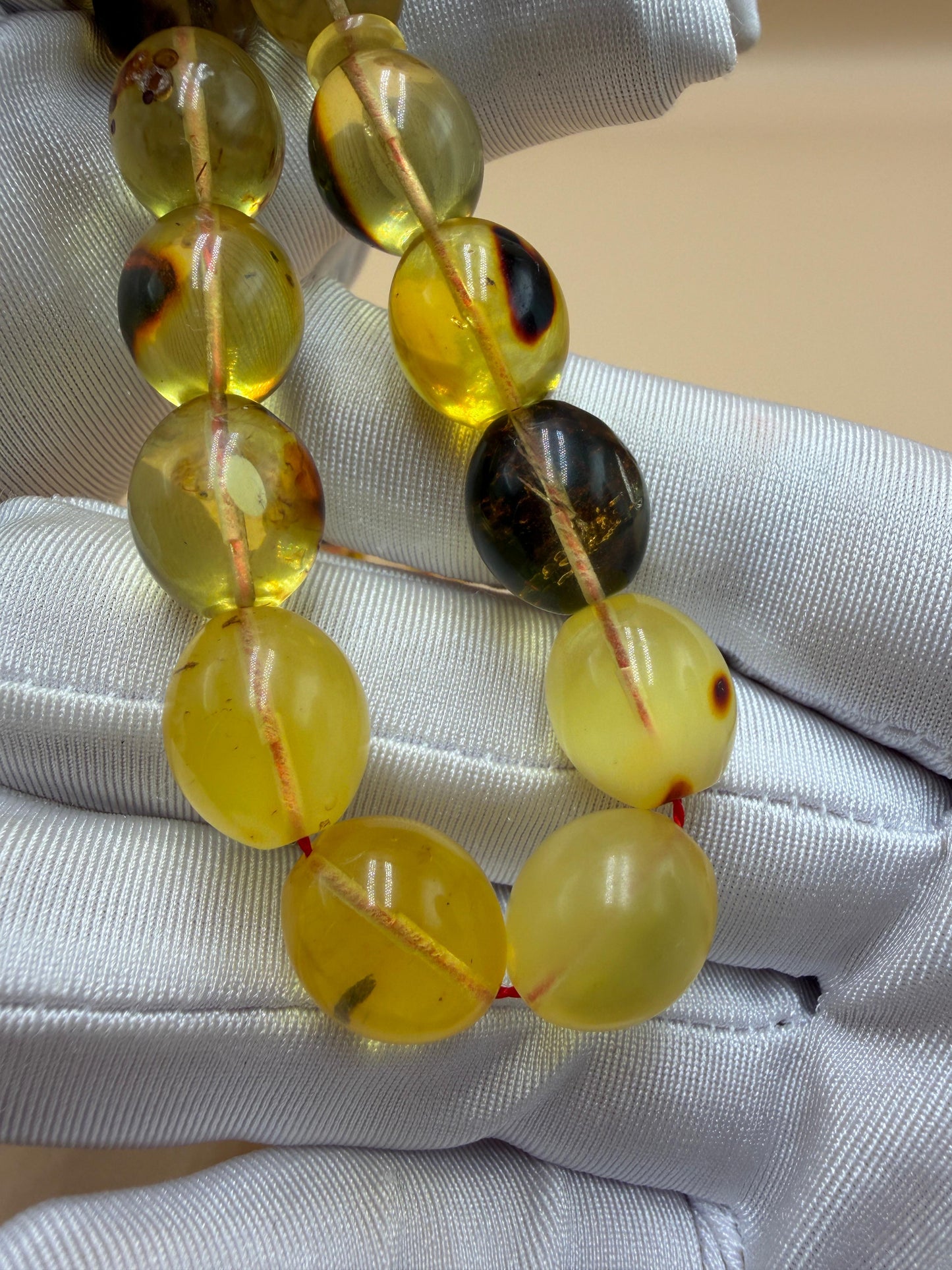 مسباح كهرمان حشري كاريبي، بخراطة مميزة، قصة بيض حمام.Caribbean Insect Amber Misbah