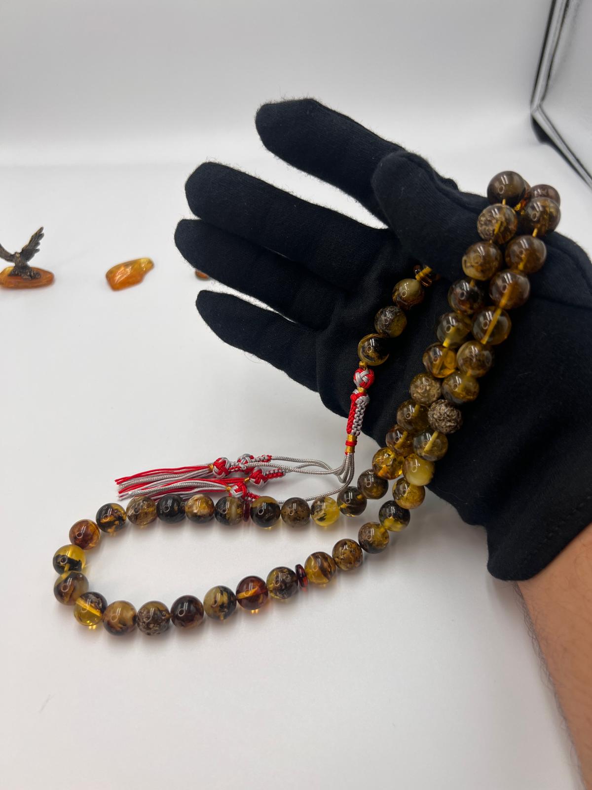 Baltic inclusion Amber