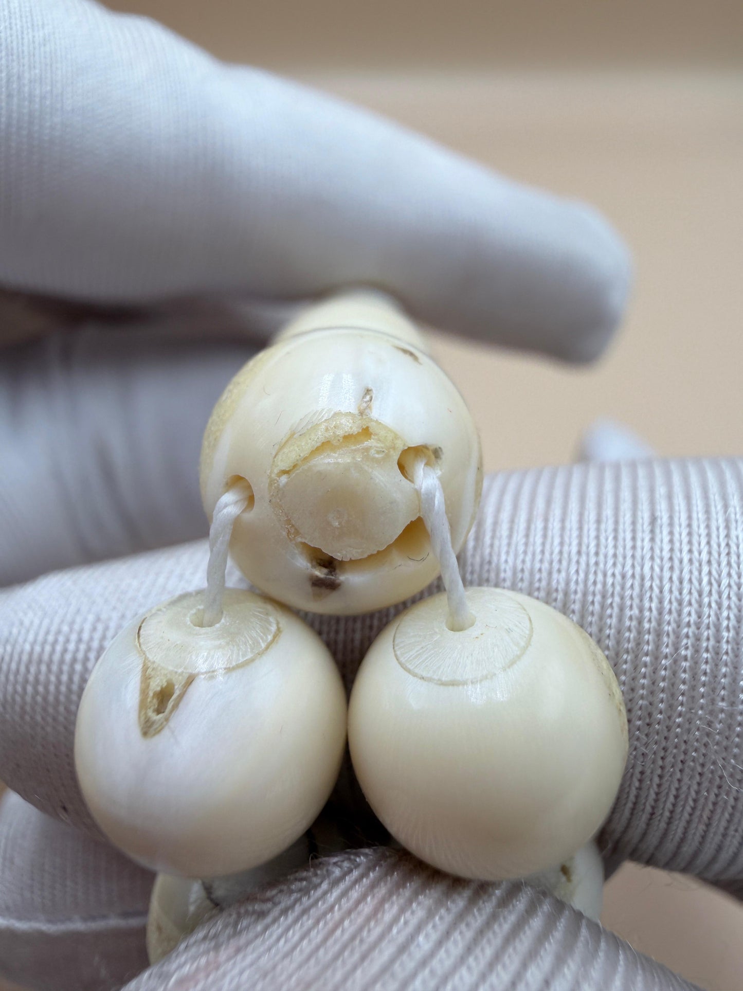 مسباح ناب 
مع كسّار ناب من نفس أصل الخام المصنوع منه المسباح Fang Misbaha
With fang breaker made from the same original material