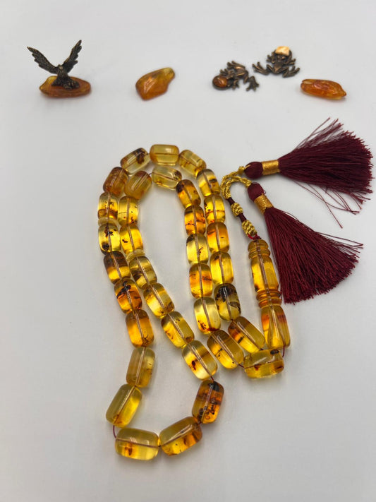 Colombian insect Amber