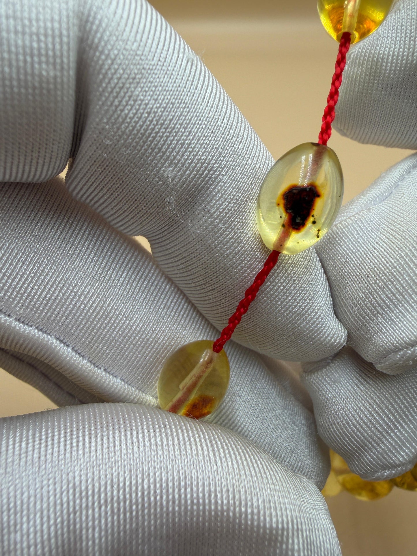 مسباح كهرمان حشري كاريبي، بخراطة مميزة، قصة بيض حمام.Caribbean Insect Amber Misbah