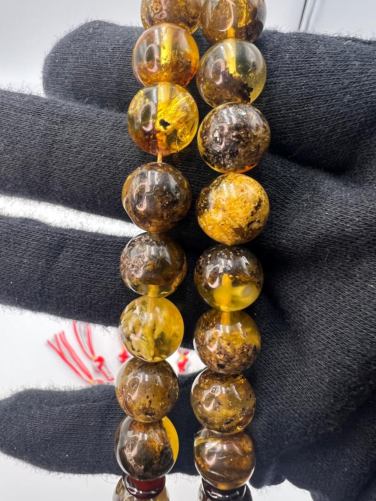 Baltic inclusion Amber