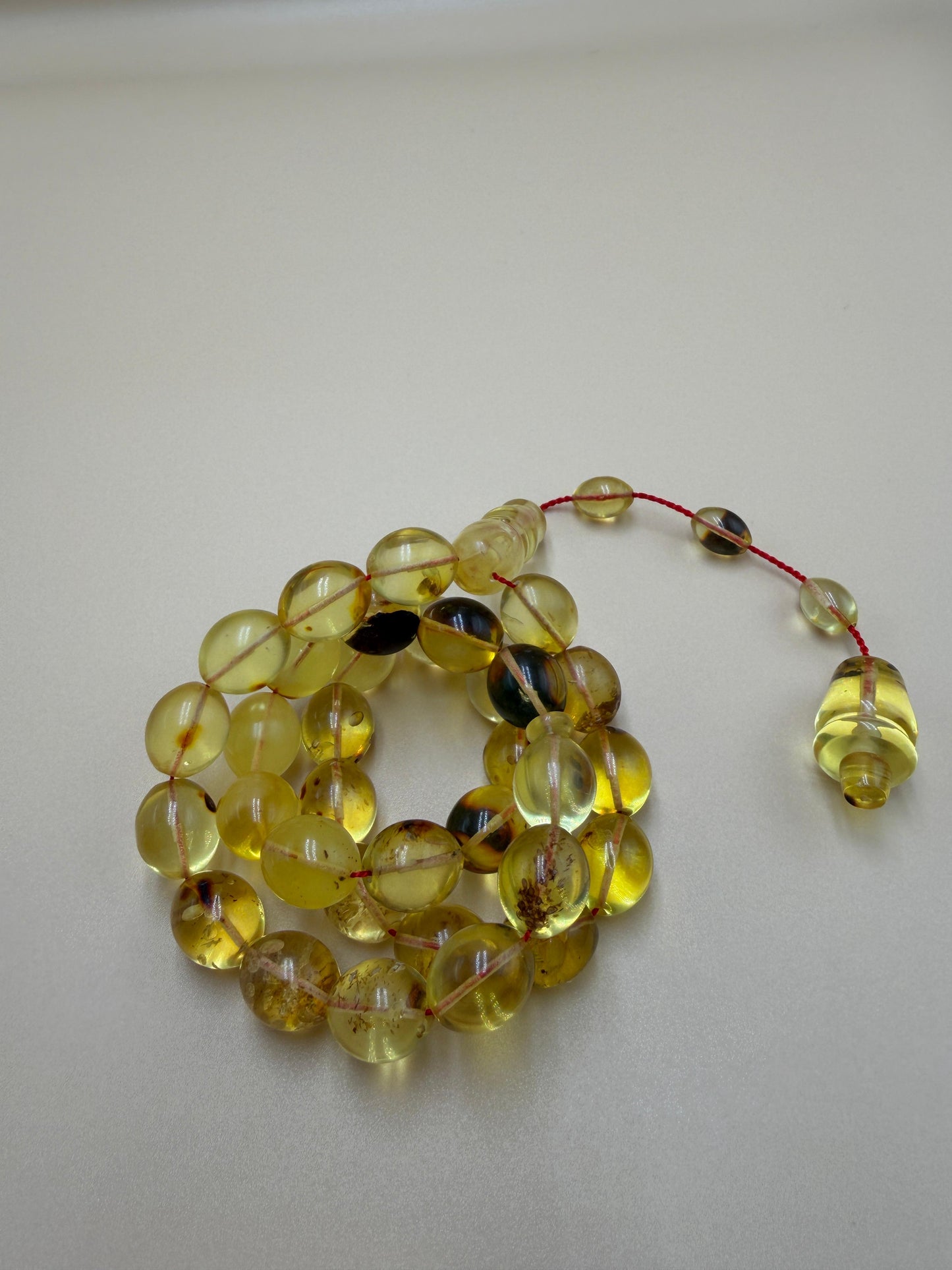 مسباح كهرمان حشري كاريبي، بخراطة مميزة، قصة بيض حمام.Caribbean Insect Amber Misbah