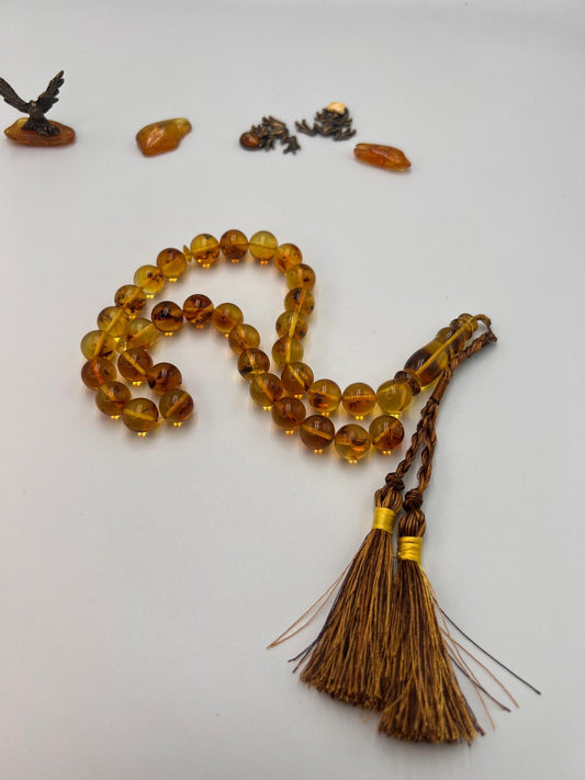 Insect Amber