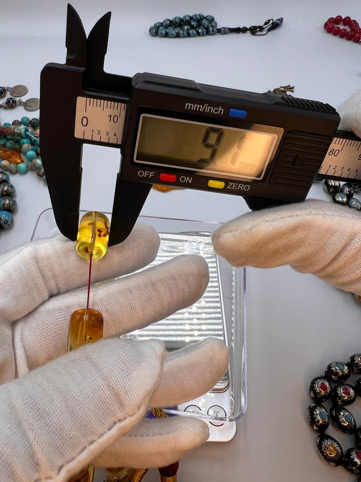 Colombian insect Amber