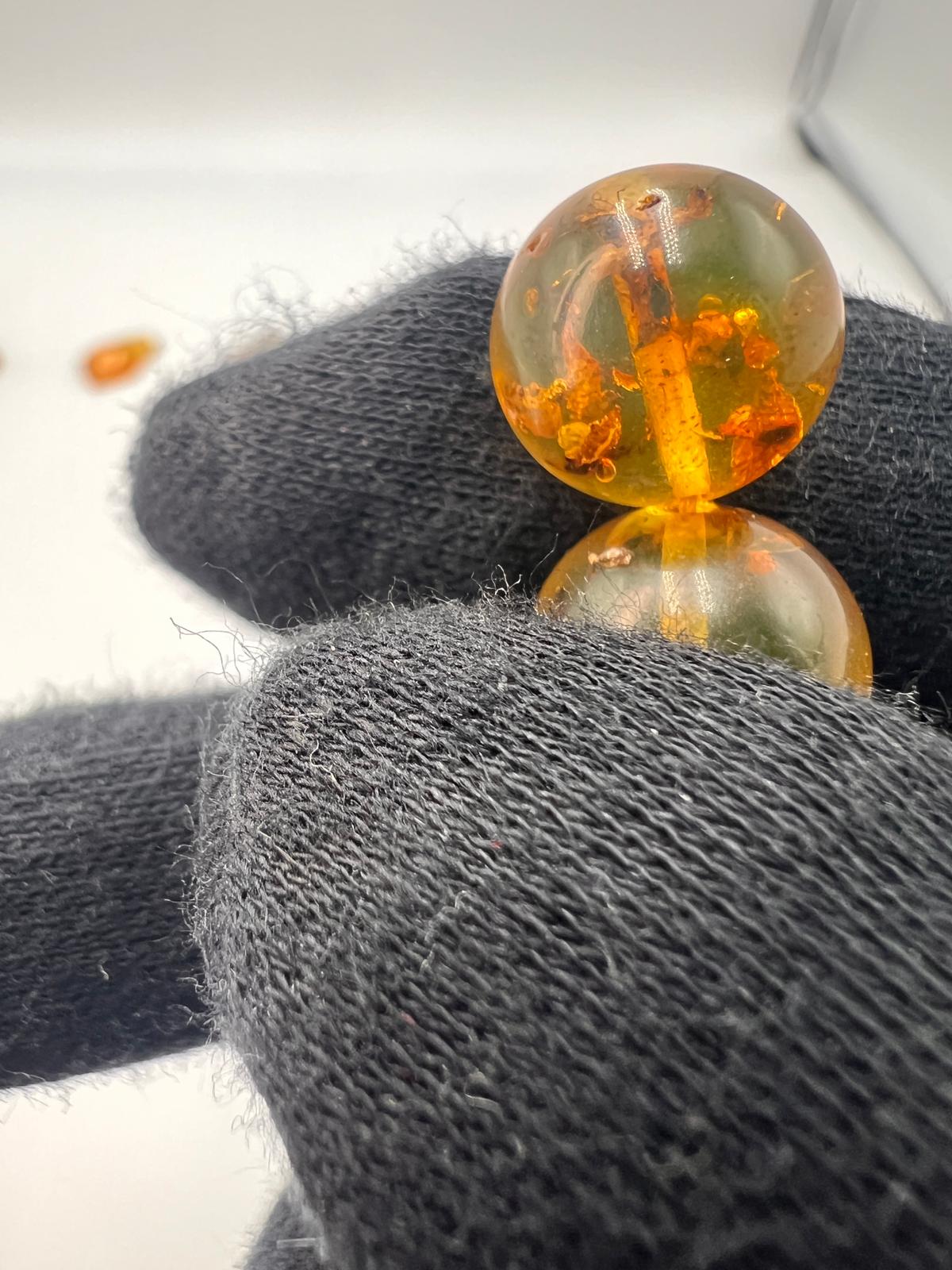 Insect Amber