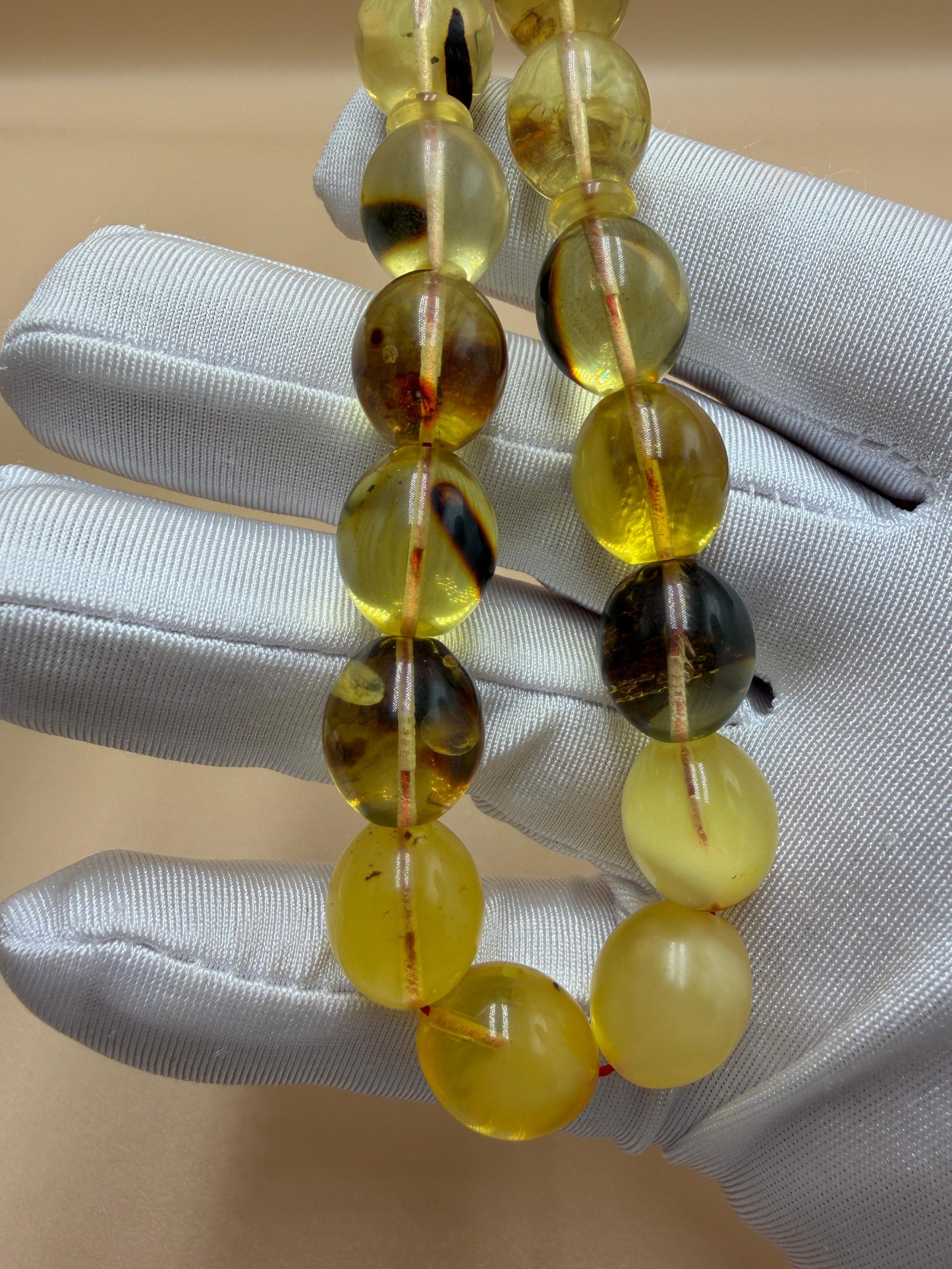 مسباح كهرمان حشري كاريبي، بخراطة مميزة، قصة بيض حمام.Caribbean Insect Amber Misbah