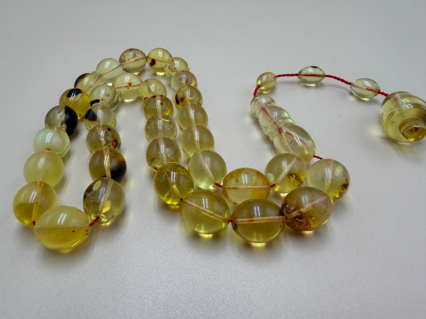 مسباح كهرمان حشري كاريبي، بخراطة مميزة، قصة بيض حمام.Caribbean Insect Amber Misbah