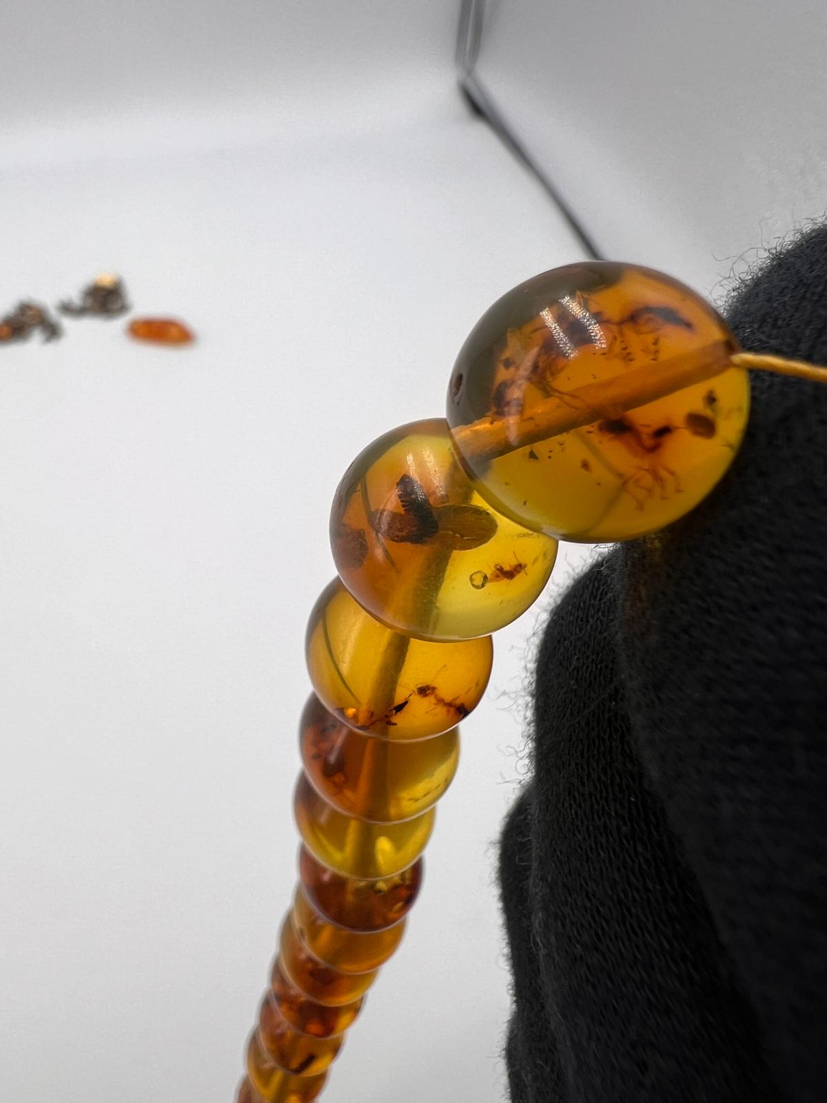 Insect Amber