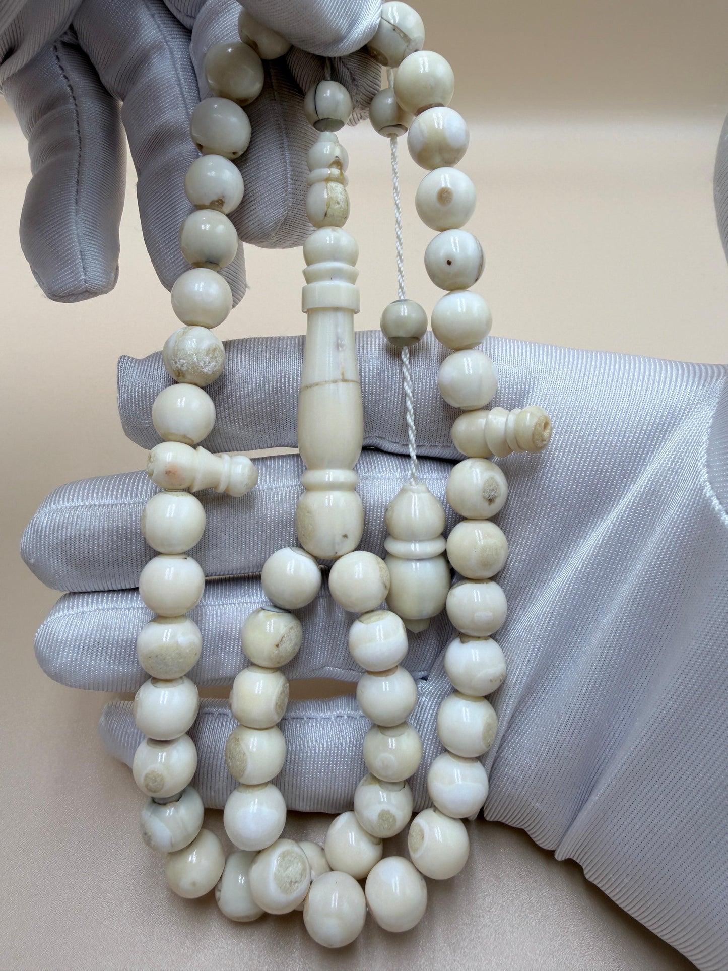 مسباح ناب 
مع كسّار ناب من نفس أصل الخام المصنوع منه المسباح Fang Misbaha
With fang breaker made from the same original material