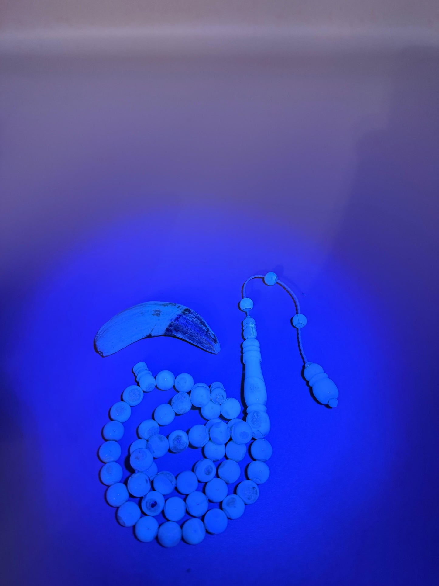 مسباح ناب 
مع كسّار ناب من نفس أصل الخام المصنوع منه المسباح Fang Misbaha
With fang breaker made from the same original material