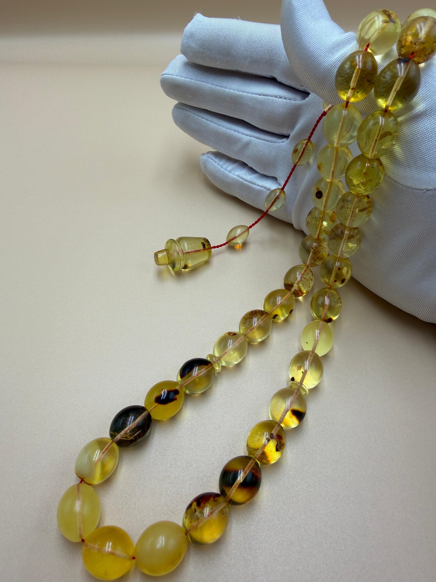 مسباح كهرمان حشري كاريبي، بخراطة مميزة، قصة بيض حمام.Caribbean Insect Amber Misbah