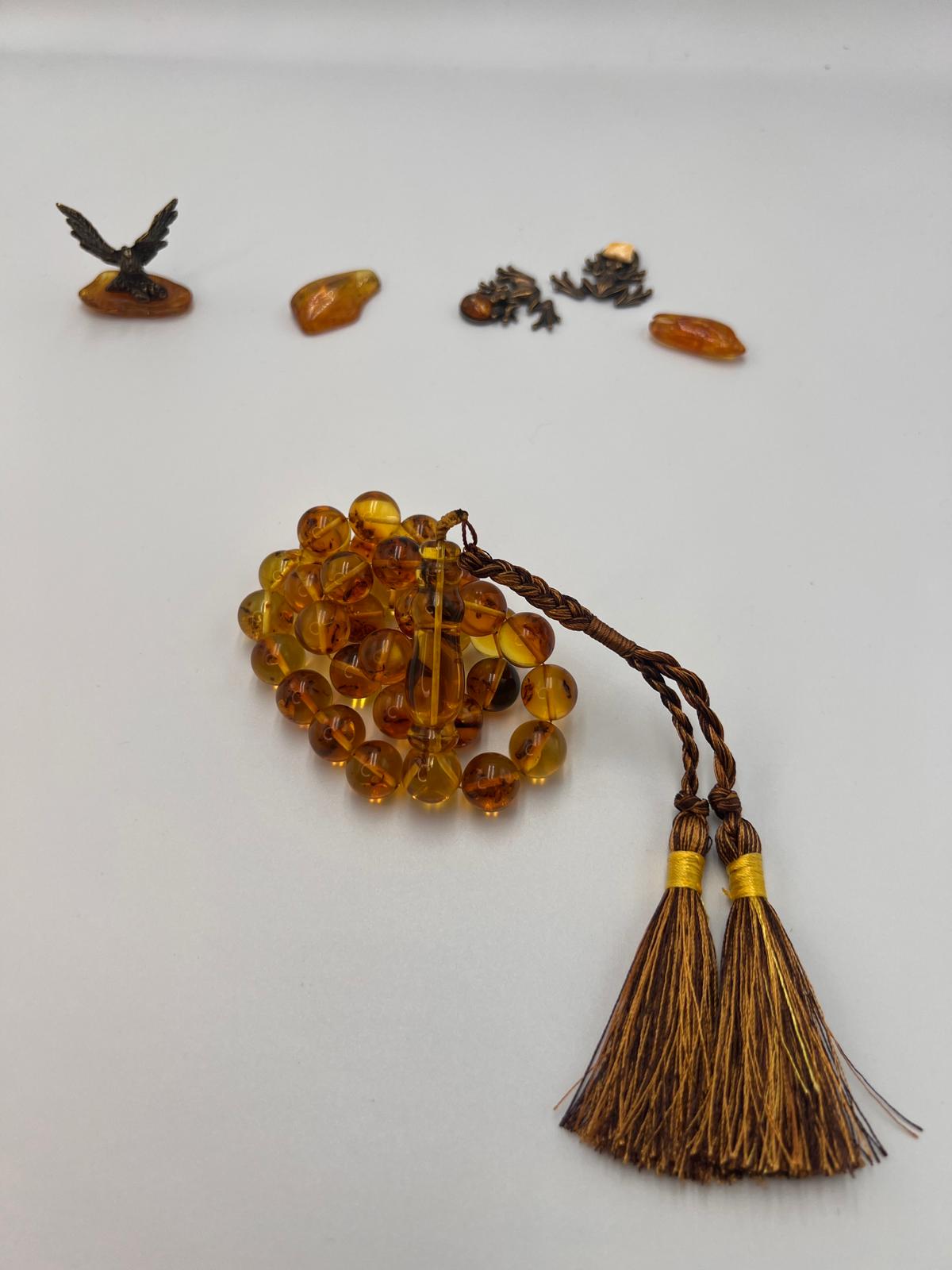Insect Amber