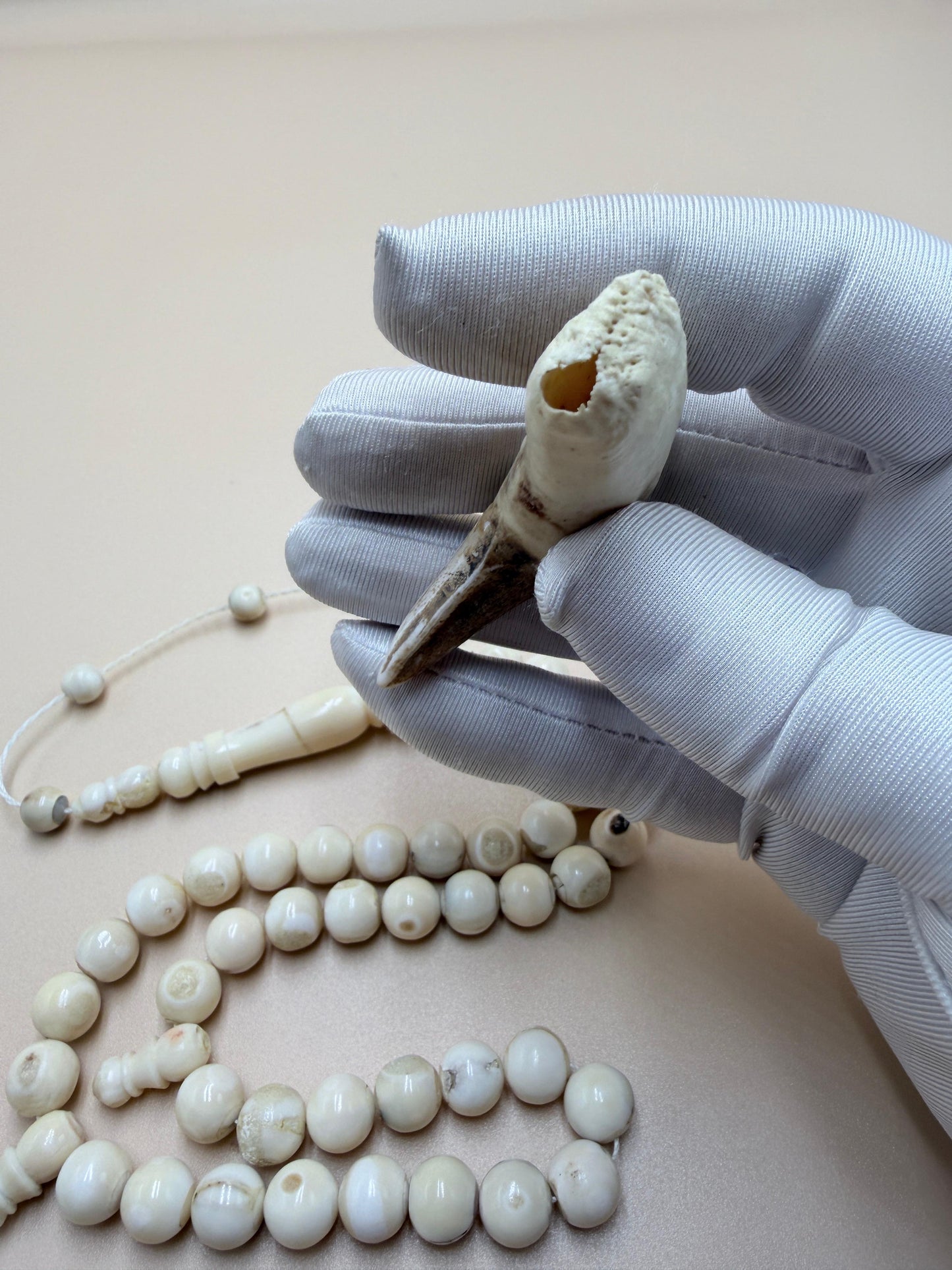 مسباح ناب 
مع كسّار ناب من نفس أصل الخام المصنوع منه المسباح Fang Misbaha
With fang breaker made from the same original material