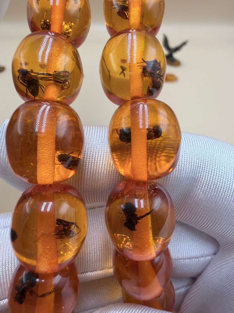 مسباح سندلوس داخله حشرات. Sandalwood Misbaha with natural insects inside.