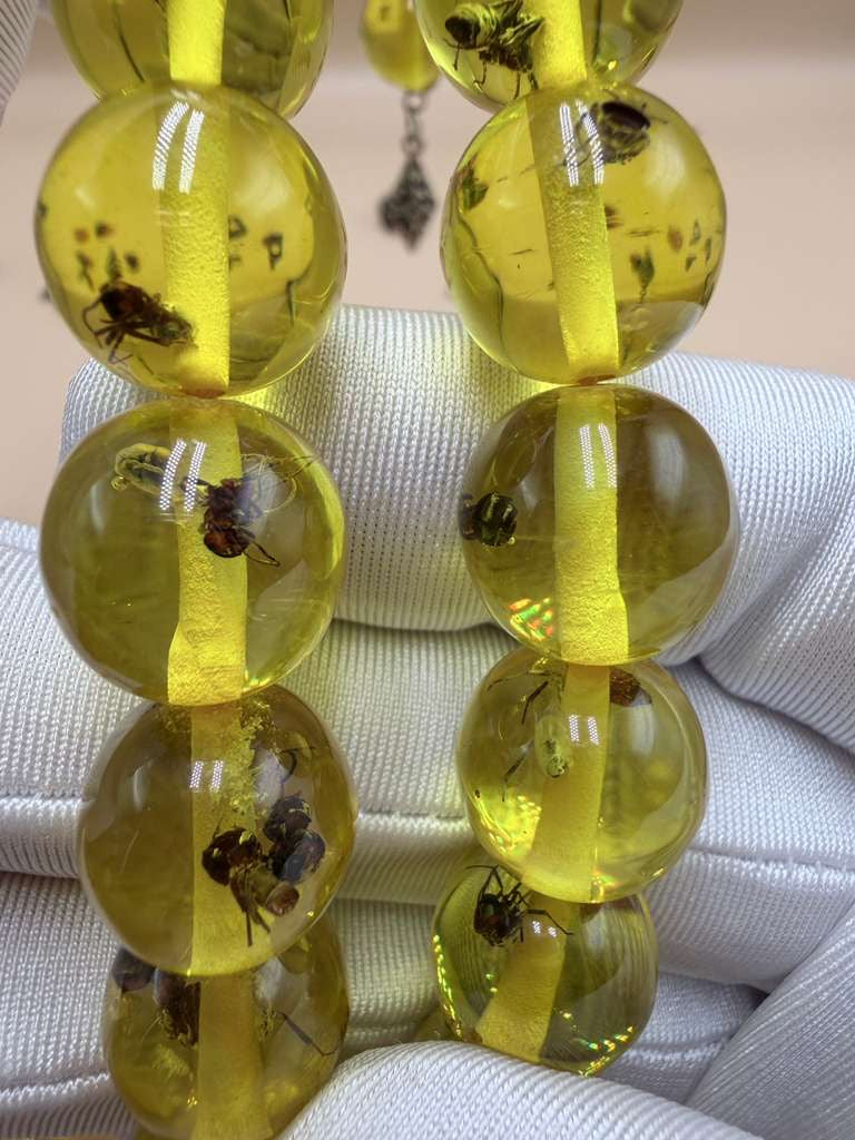 مسباح سندلوس داخله حشرات. Sandalwood Misbaha with natural insects inside.