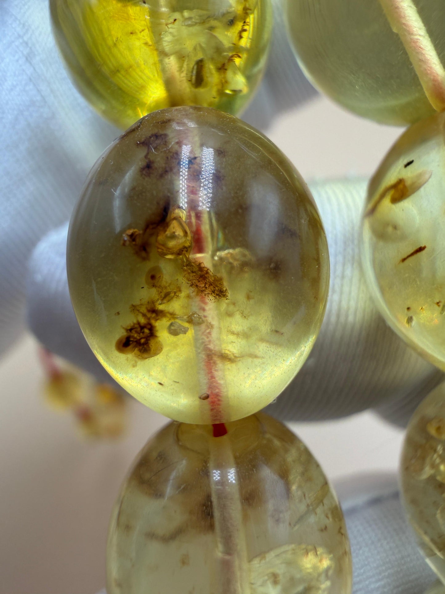 مسباح كهرمان حشري كاريبي، بخراطة مميزة، قصة بيض حمام.Caribbean Insect Amber Misbah