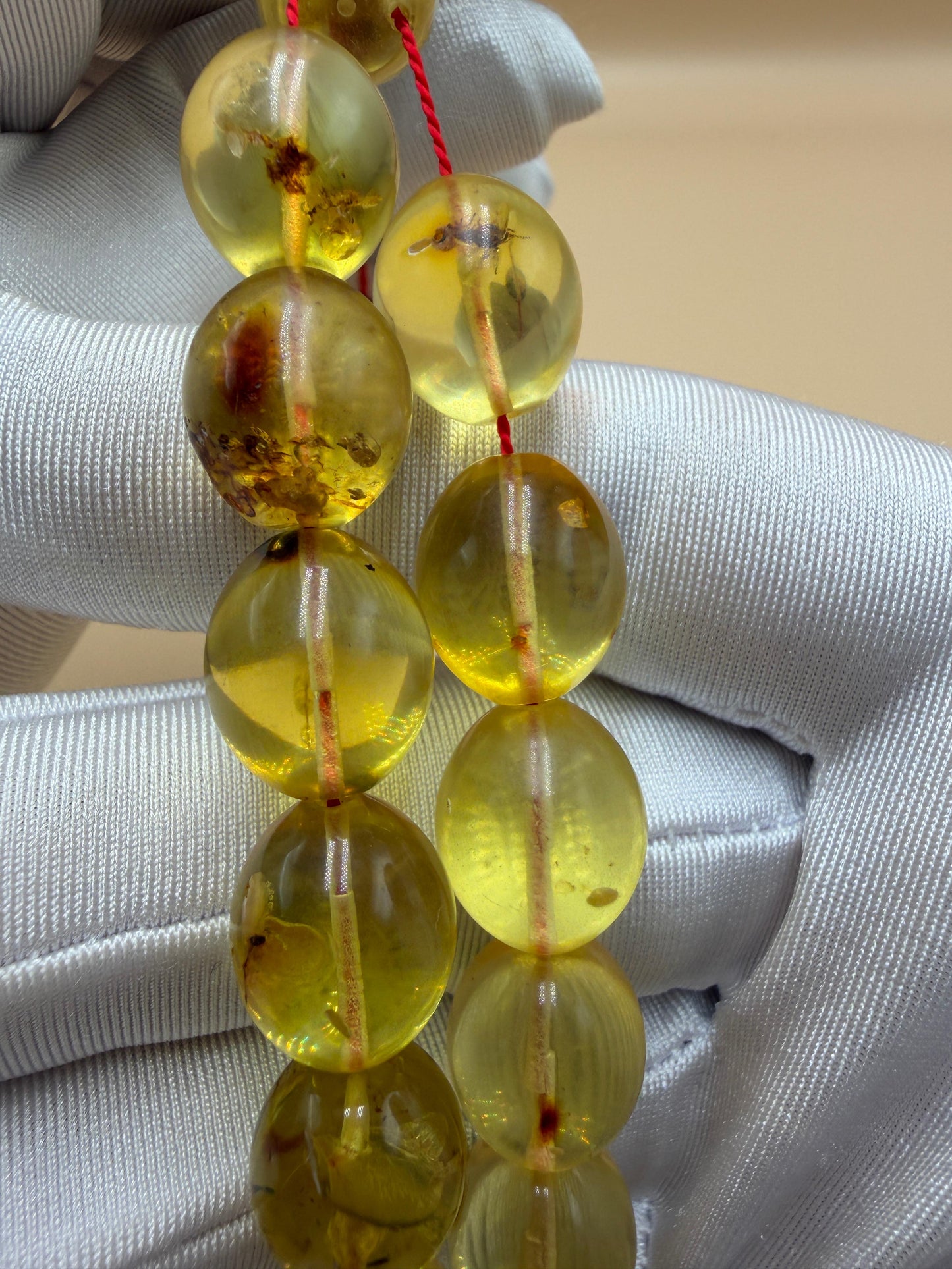 مسباح كهرمان حشري كاريبي، بخراطة مميزة، قصة بيض حمام.Caribbean Insect Amber Misbah