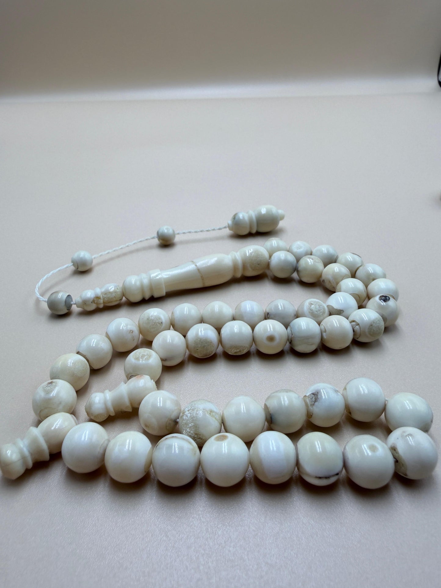 مسباح ناب 
مع كسّار ناب من نفس أصل الخام المصنوع منه المسباح Fang Misbaha
With fang breaker made from the same original material