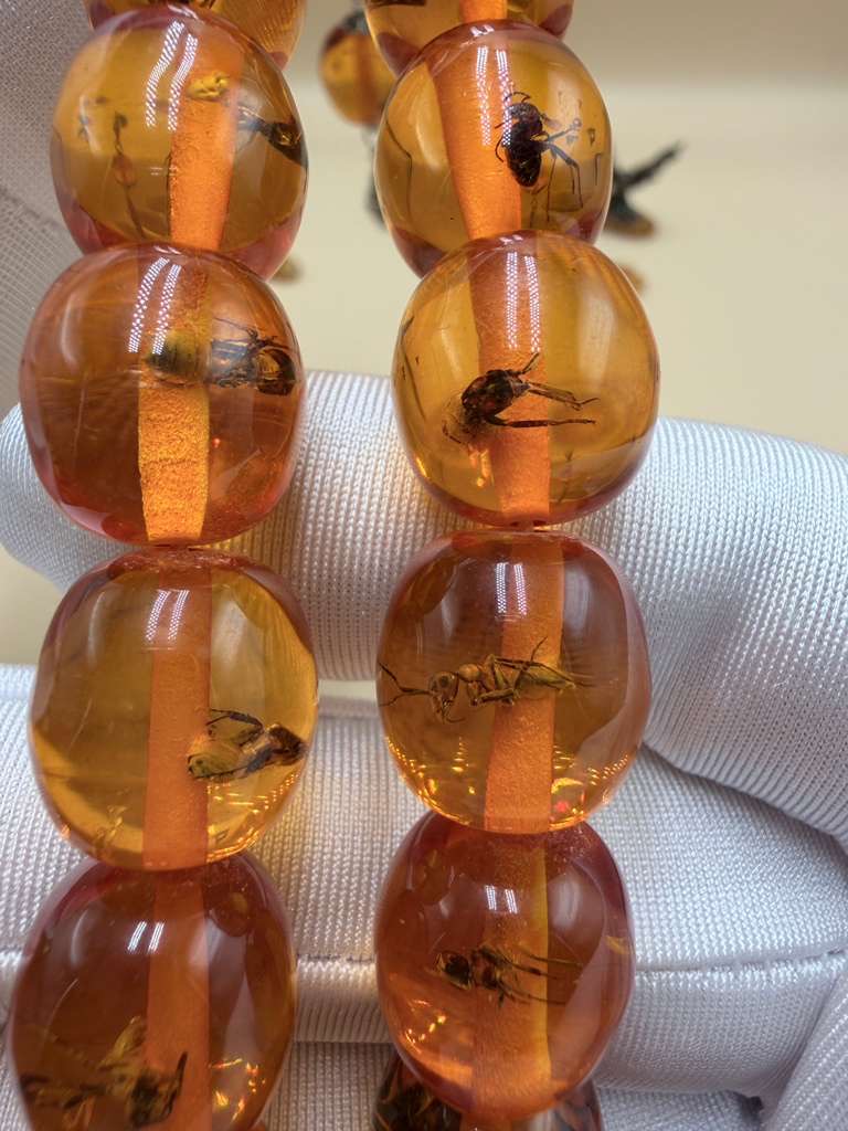 مسباح سندلوس داخله حشرات. Sandalwood Misbaha with natural insects inside.