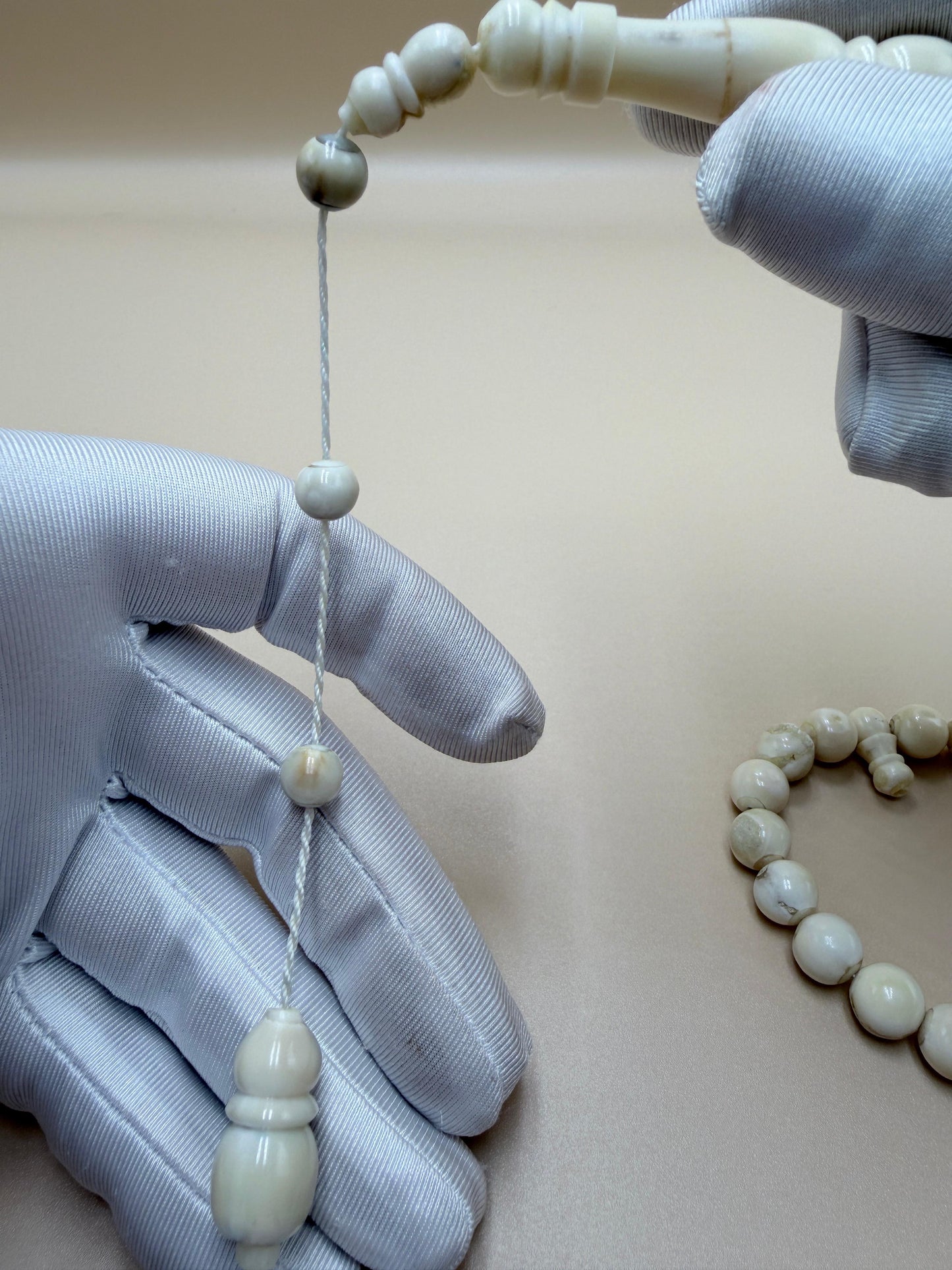 مسباح ناب 
مع كسّار ناب من نفس أصل الخام المصنوع منه المسباح Fang Misbaha
With fang breaker made from the same original material