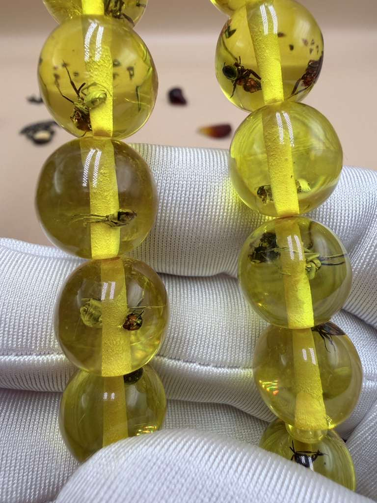 مسباح سندلوس داخله حشرات. Sandalwood Misbaha with natural insects inside.