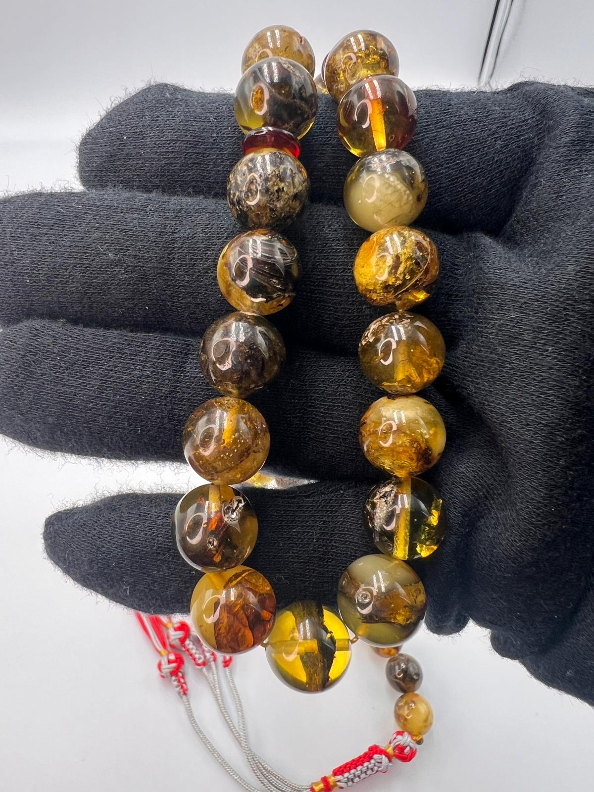 Baltic inclusion Amber