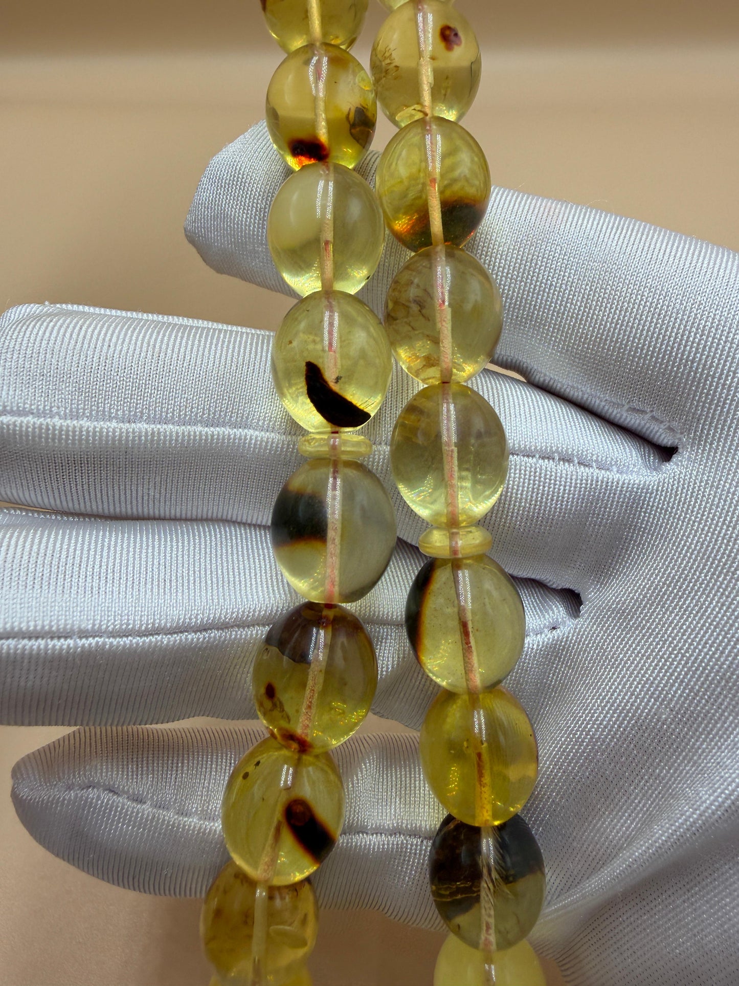 مسباح كهرمان حشري كاريبي، بخراطة مميزة، قصة بيض حمام.Caribbean Insect Amber Misbah