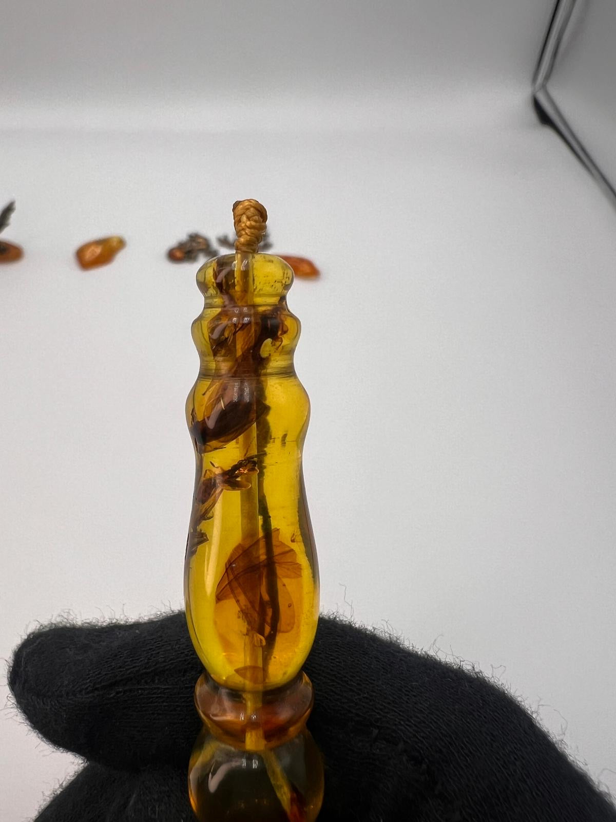 Insect Amber