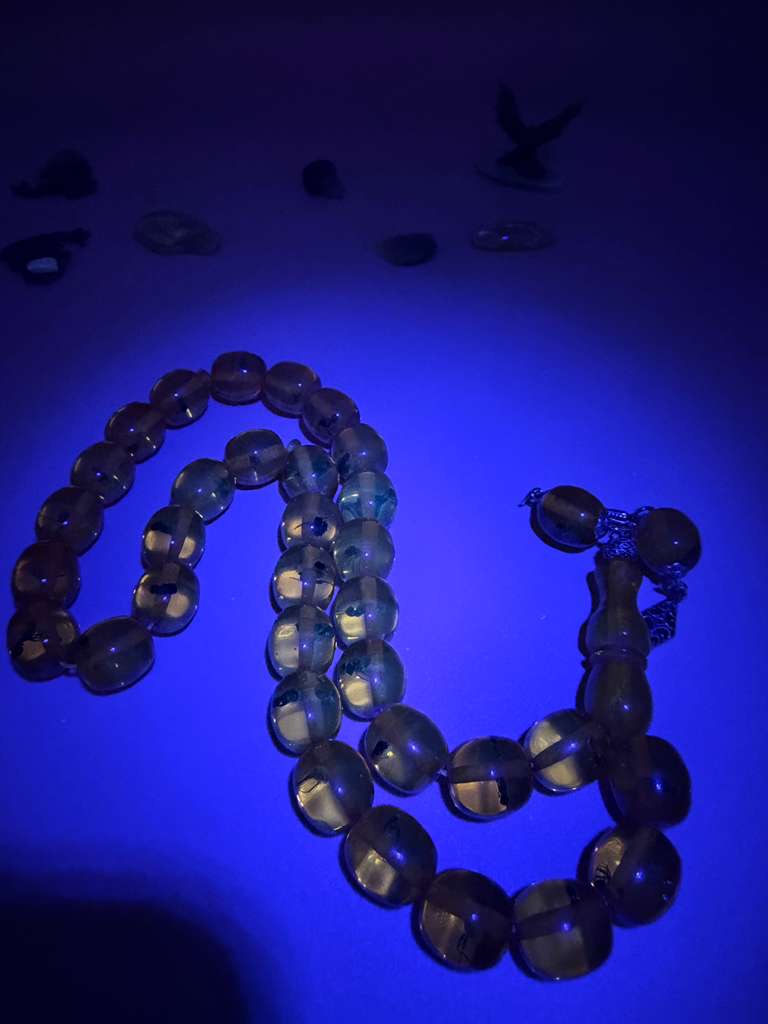 مسباح سندلوس داخله حشرات. Sandalwood Misbaha with natural insects inside.