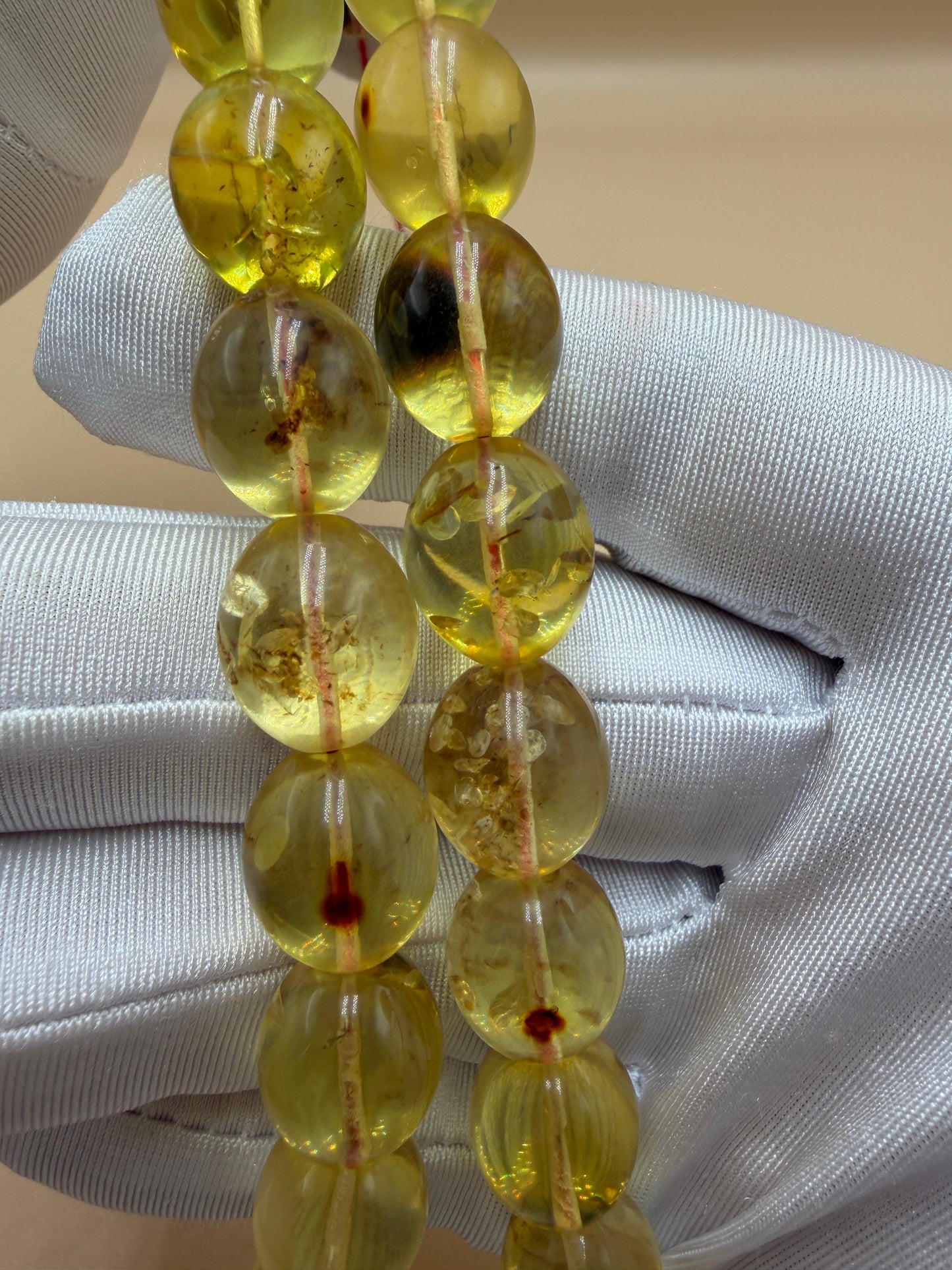 مسباح كهرمان حشري كاريبي، بخراطة مميزة، قصة بيض حمام.Caribbean Insect Amber Misbah