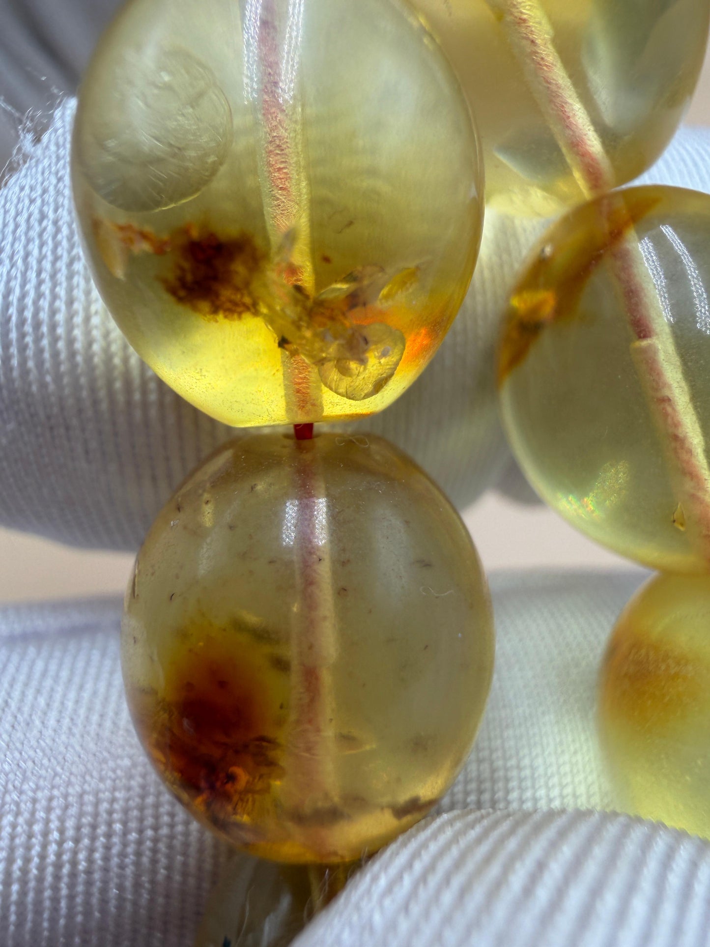 مسباح كهرمان حشري كاريبي، بخراطة مميزة، قصة بيض حمام.Caribbean Insect Amber Misbah