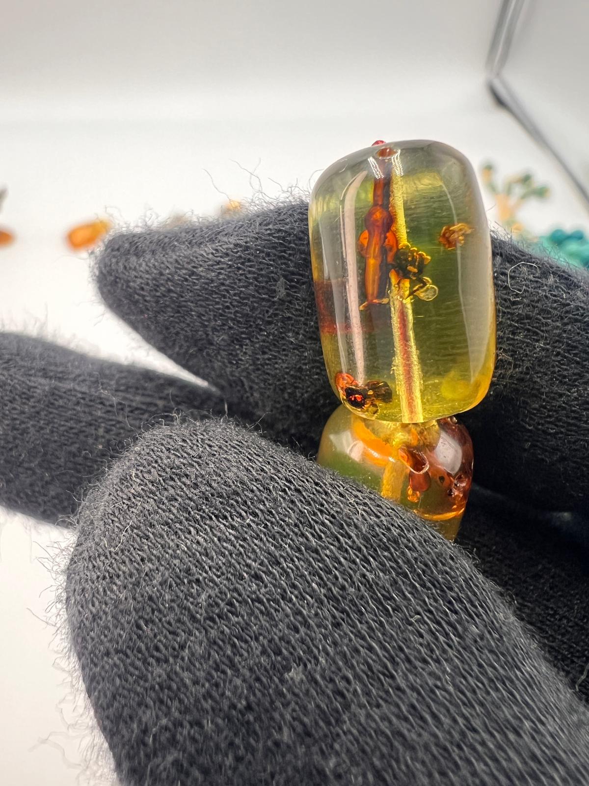 Colombian insect Amber
