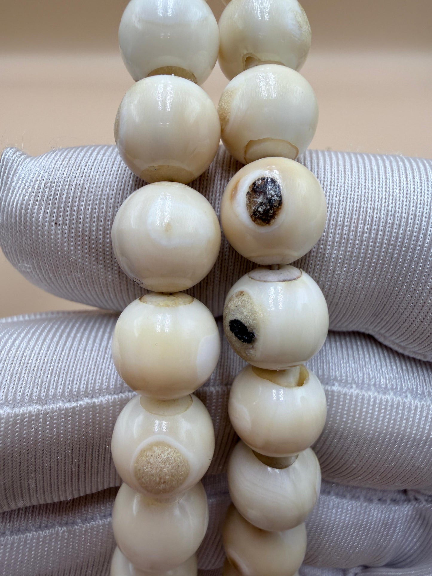 مسباح ناب 
مع كسّار ناب من نفس أصل الخام المصنوع منه المسباح Fang Misbaha
With fang breaker made from the same original material