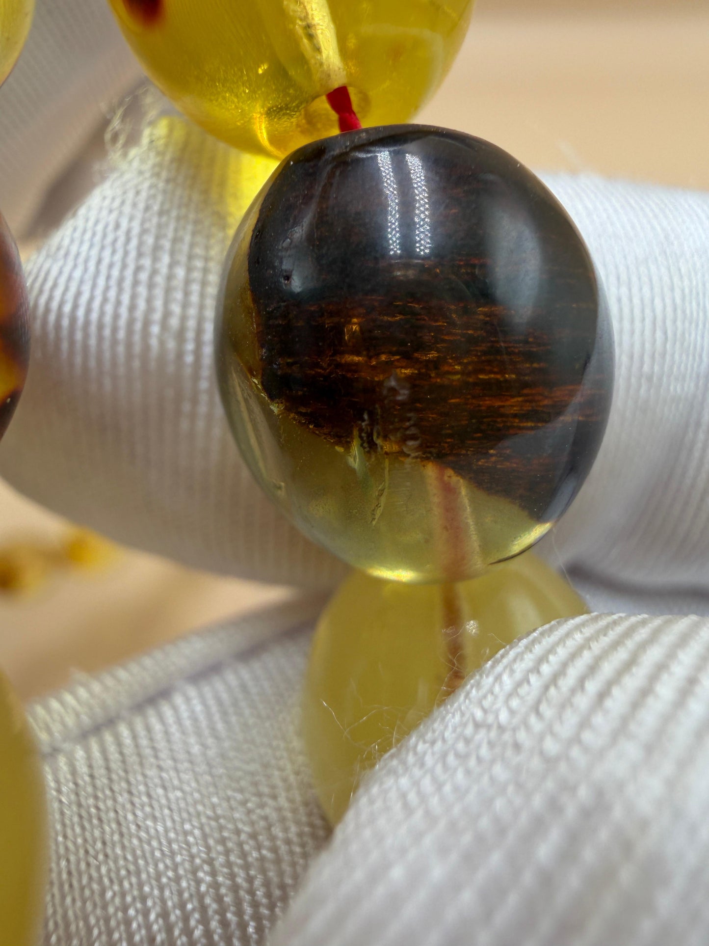 مسباح كهرمان حشري كاريبي، بخراطة مميزة، قصة بيض حمام.Caribbean Insect Amber Misbah