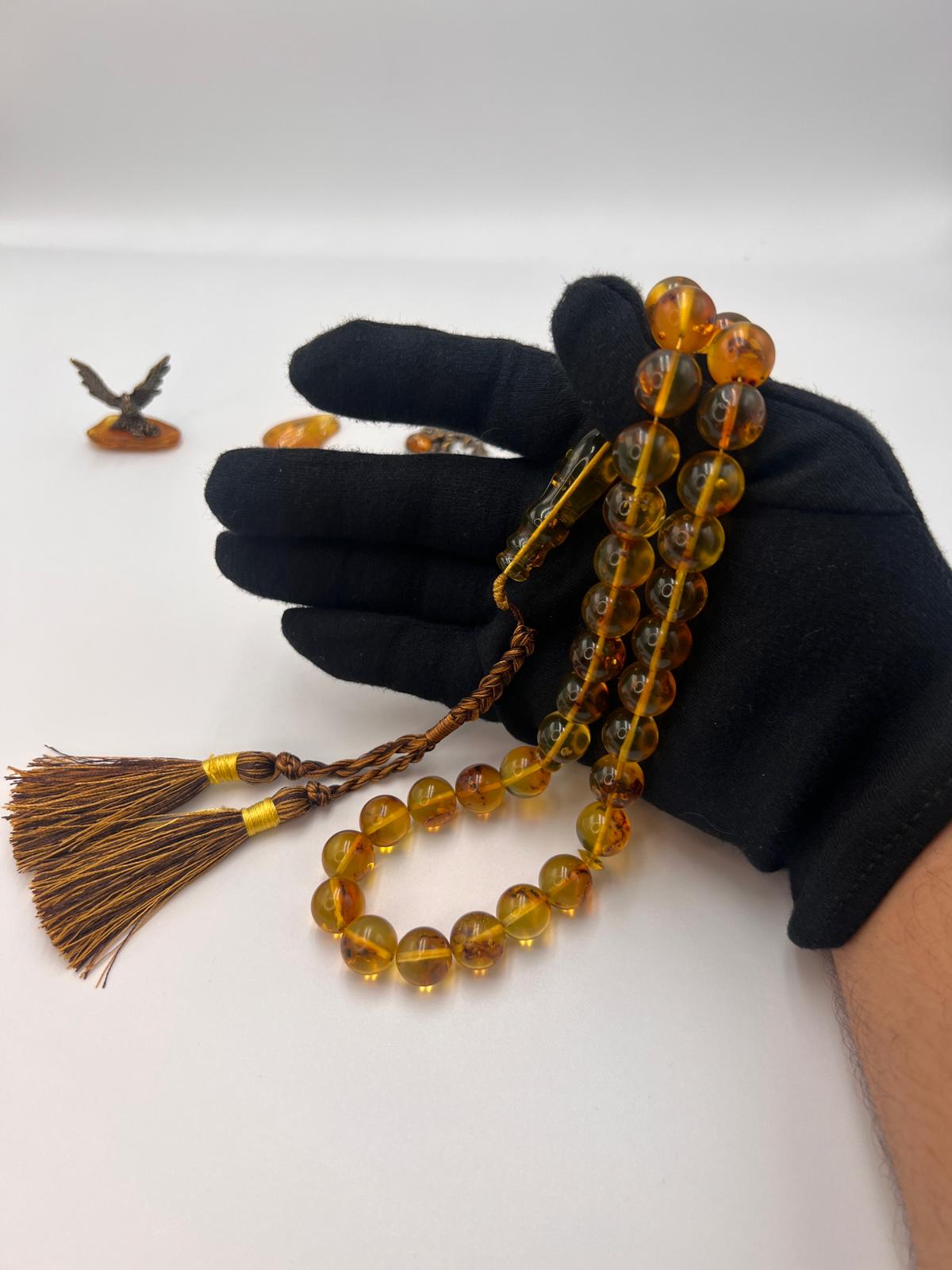 Insect Amber
