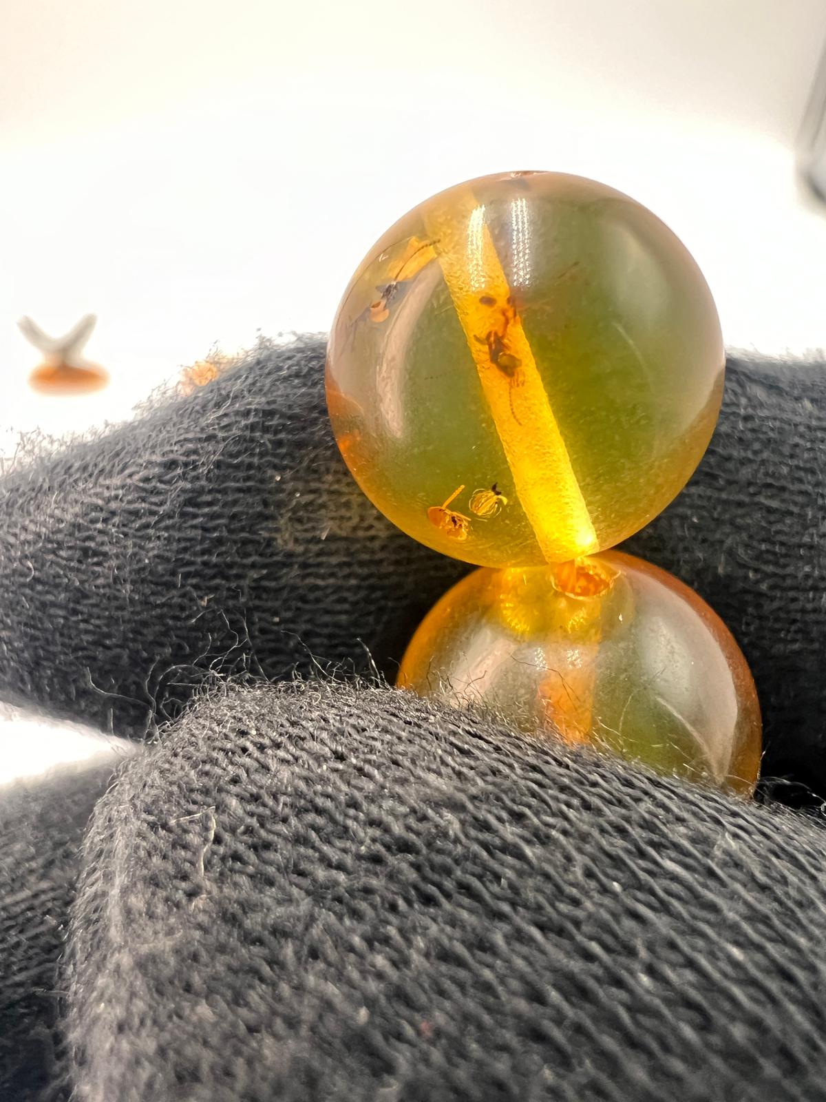 Insect Amber