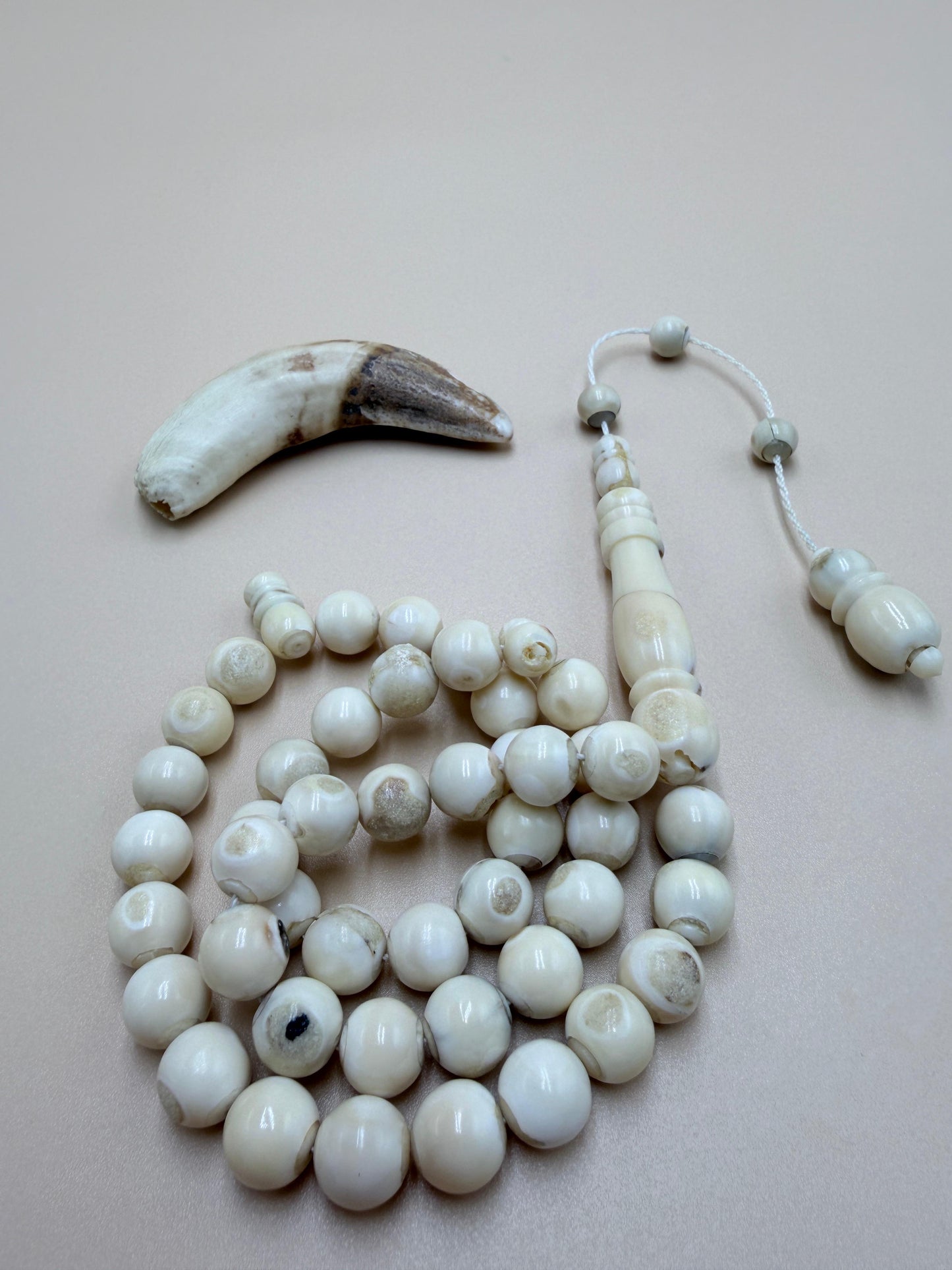 مسباح ناب 
مع كسّار ناب من نفس أصل الخام المصنوع منه المسباح Fang Misbaha
With fang breaker made from the same original material