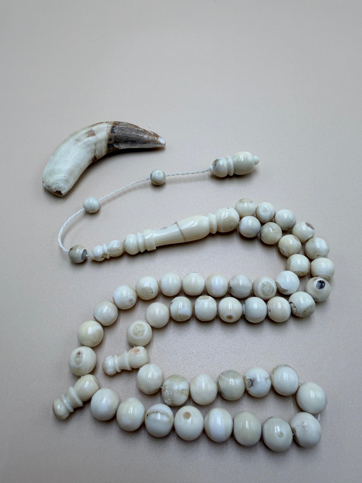 مسباح ناب 
مع كسّار ناب من نفس أصل الخام المصنوع منه المسباح Fang Misbaha
With fang breaker made from the same original material