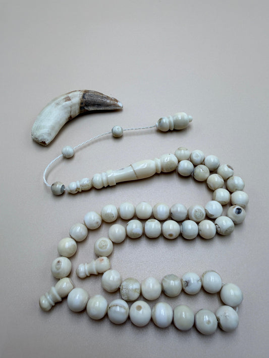 مسباح ناب 
مع كسّار ناب من نفس أصل الخام المصنوع منه المسباح Fang Misbaha
With fang breaker made from the same original material