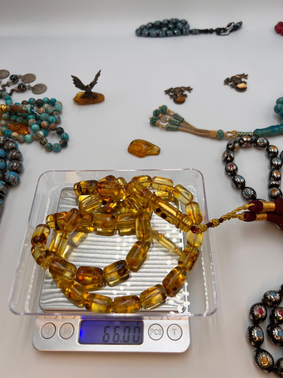 Colombian insect Amber