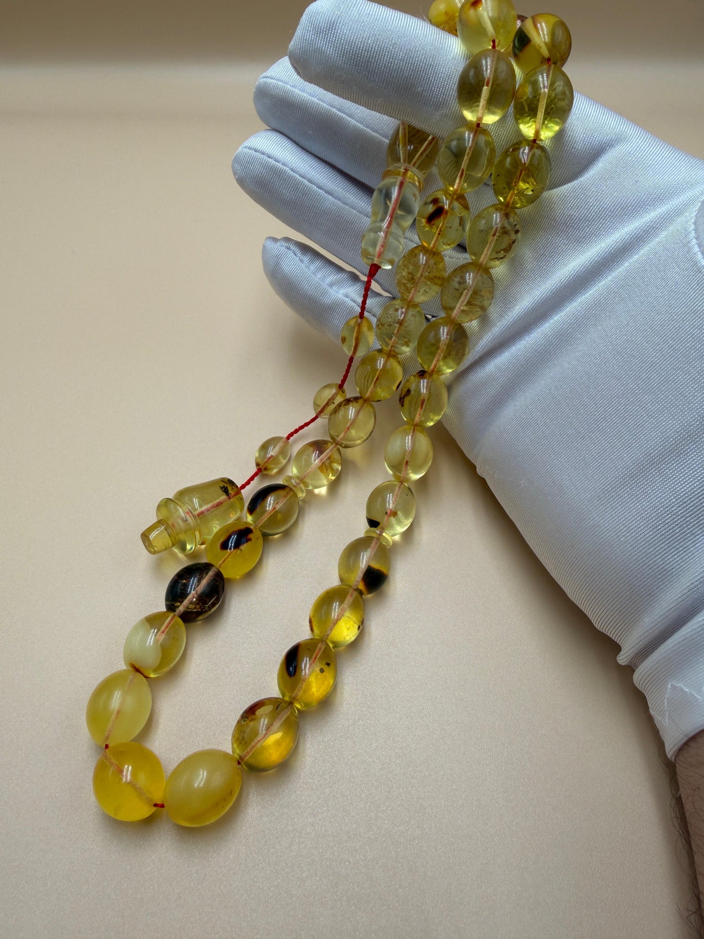 مسباح كهرمان حشري كاريبي، بخراطة مميزة، قصة بيض حمام.Caribbean Insect Amber Misbah