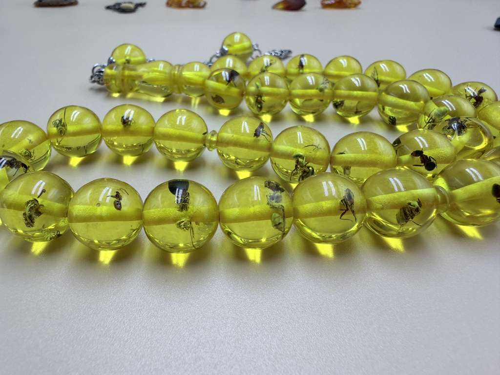 مسباح سندلوس داخله حشرات. Sandalwood Misbaha with natural insects inside.